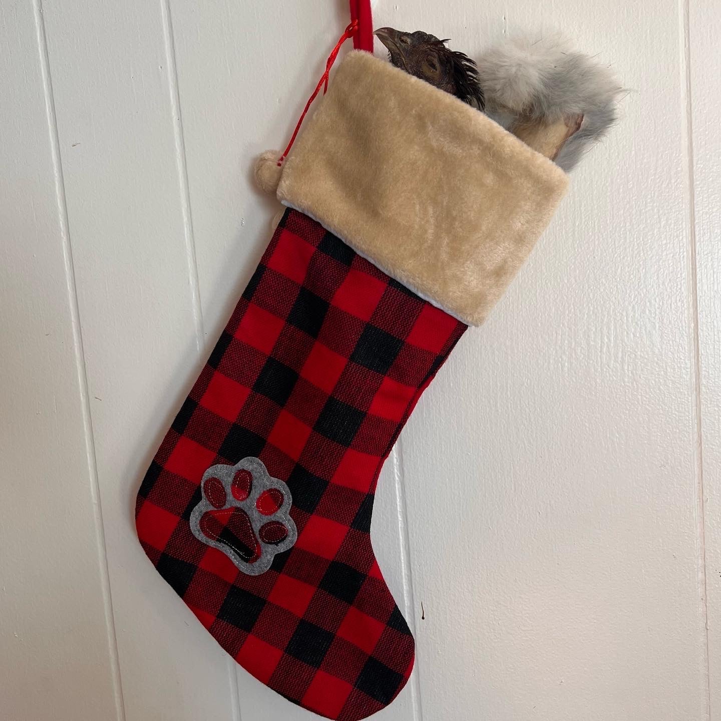 Pre-filled Christmas Pet Stocking